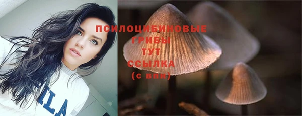 ALPHA PVP Алзамай