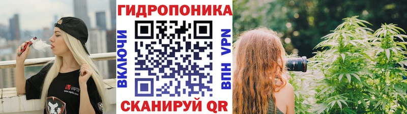 Конопля план  Отрадная 